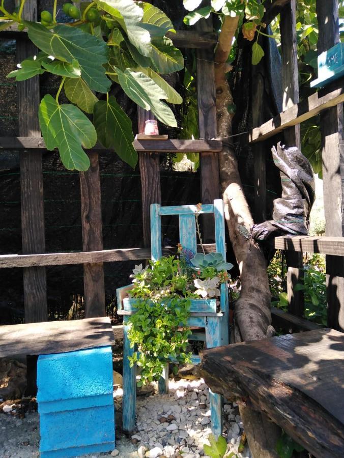 Turismo Rural casa da céu Amiais de Cima Exterior foto